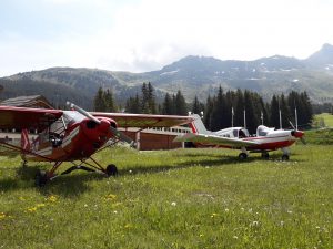 Piloter un piper cub ou un rallye 180